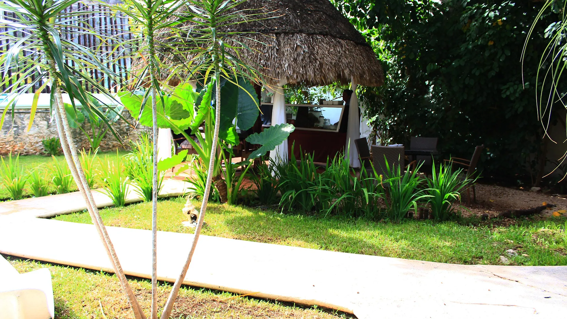 Maya Del Carmen Hotel Playa del Carmen 2*,  Mexico